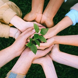 8 Volunteer and Help out places in Phuket