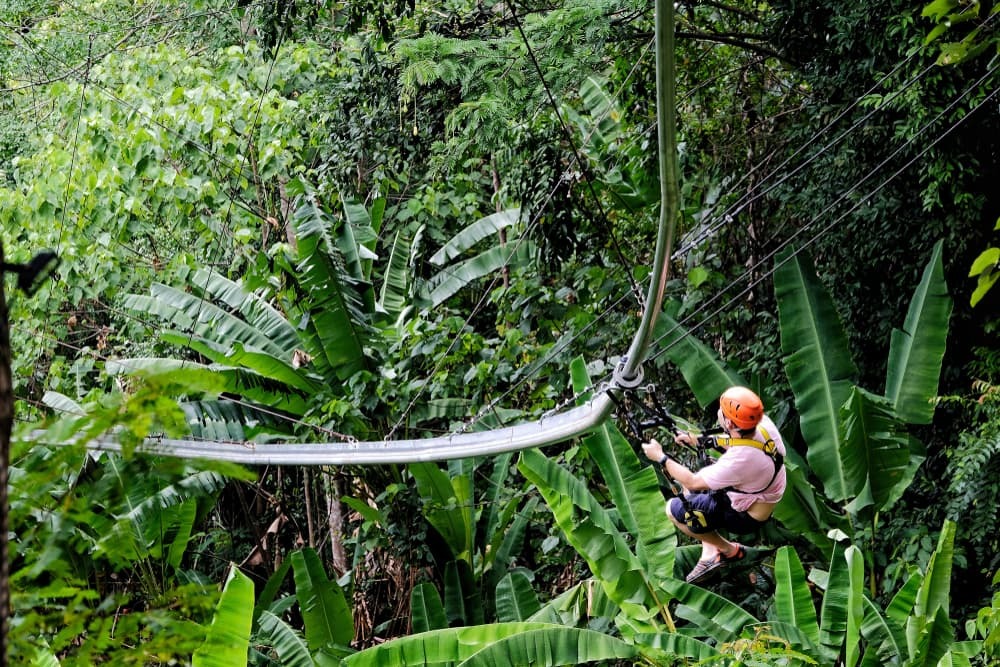 Start your rainy season adventure in Phuket with forest ziplining