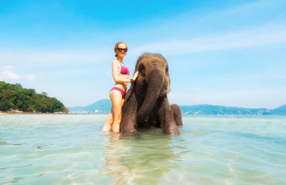 Western tourist bathes with a baby elephant in the waters off Phuket