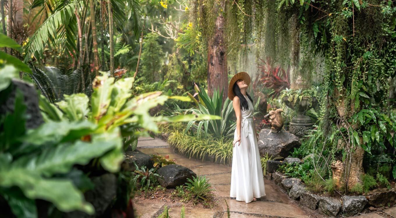Botanical & Rainforest Gardens
