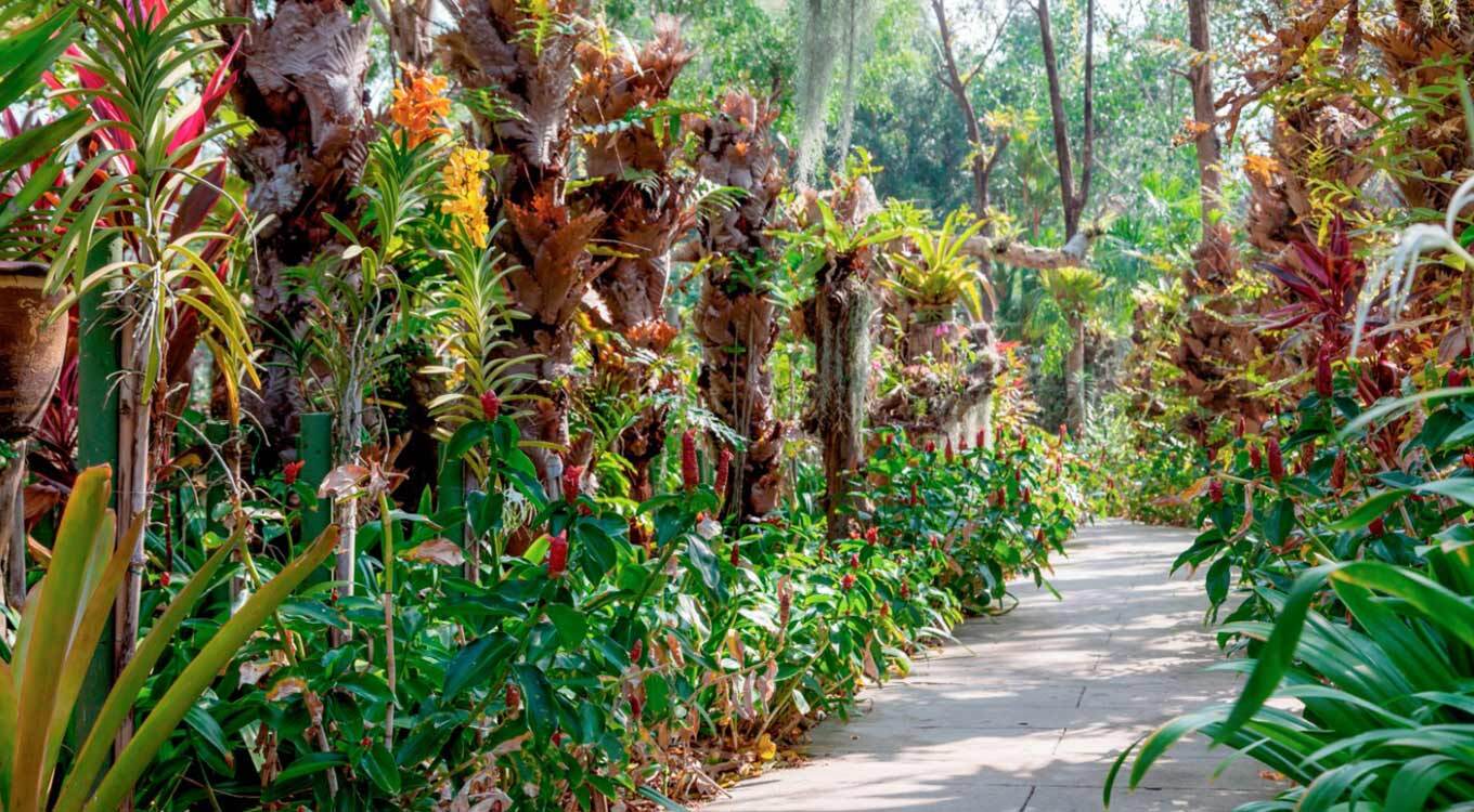 Botanical & Rainforest Gardens