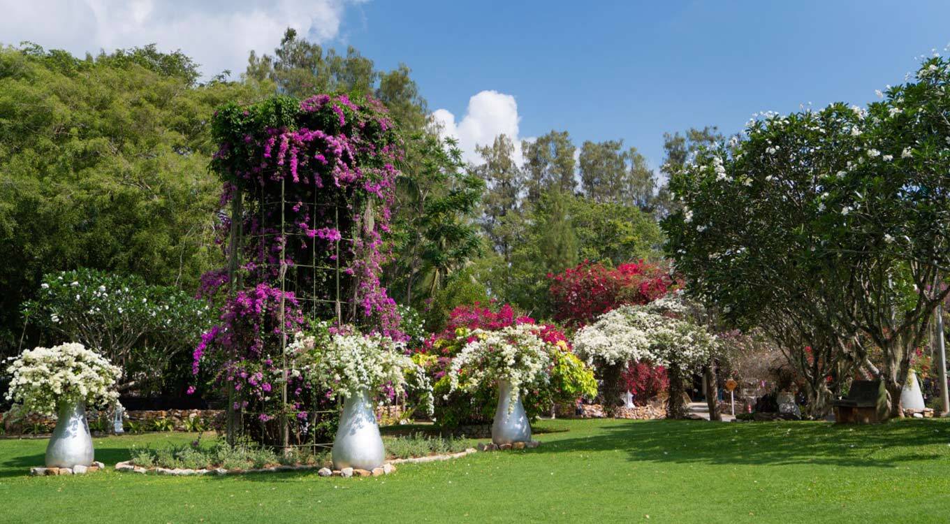 Large grass lawn for MICE team building