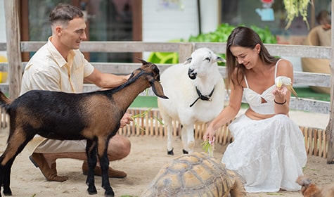 Animal Village Petting Zoo