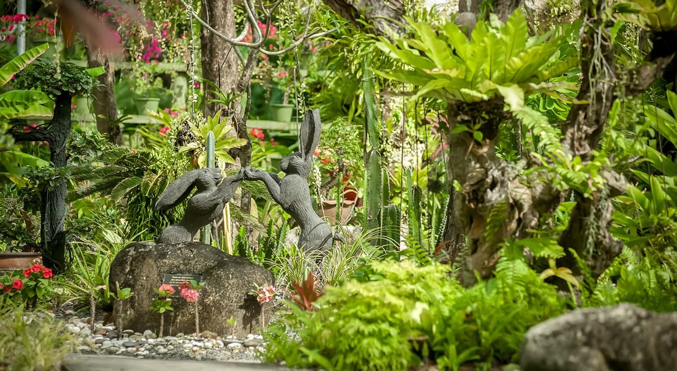 Thavorn Palm Beach Resort - Botanical Gardens