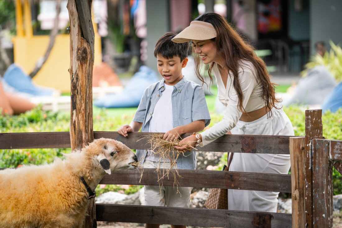 Phuket Animal Petting Zoo | Best Karon Beach family activity