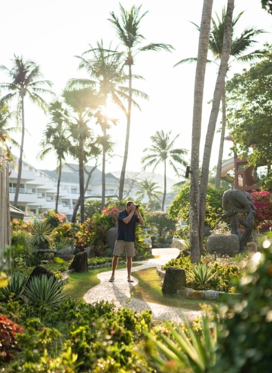 Tropical Serenity Winter Getaway