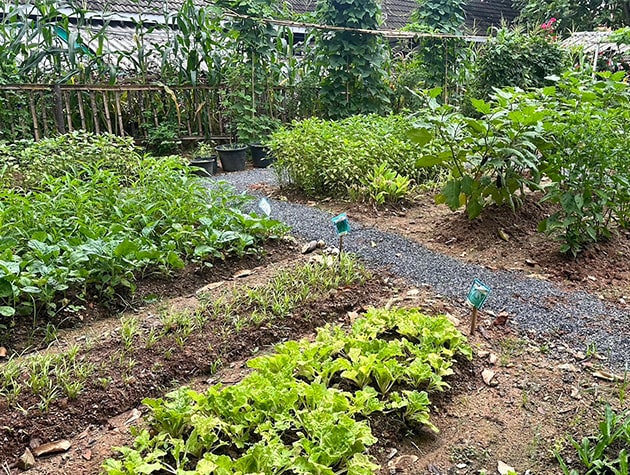 Sustainability and Green Hotel Practices in Phuket from our Karon Beach resort